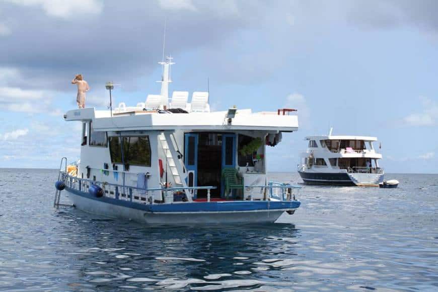 029e8d5fbb1a74a49f84b034b33597ee