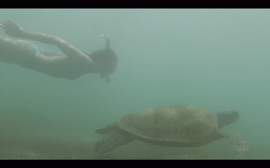 Capture-d’écran-2018-01-29-à-15.06.17