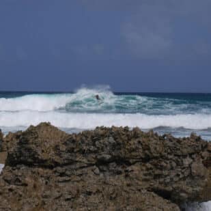 surfing in guadeloupe