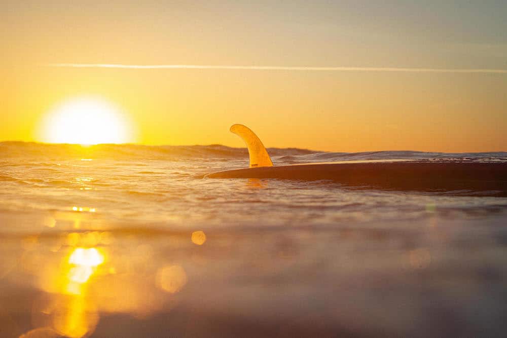 Planche de surf posé sur l'eau pendant un sunset à Ericeira