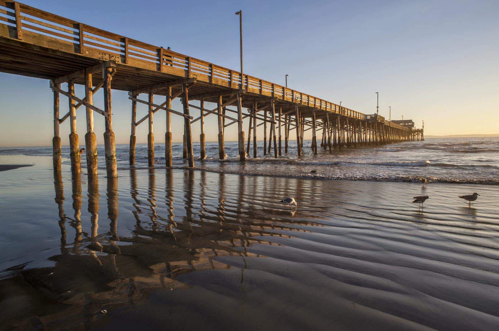 487d5-surftrip_californie2 487d5-surftrip_californie2