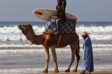 surf camp morocco
