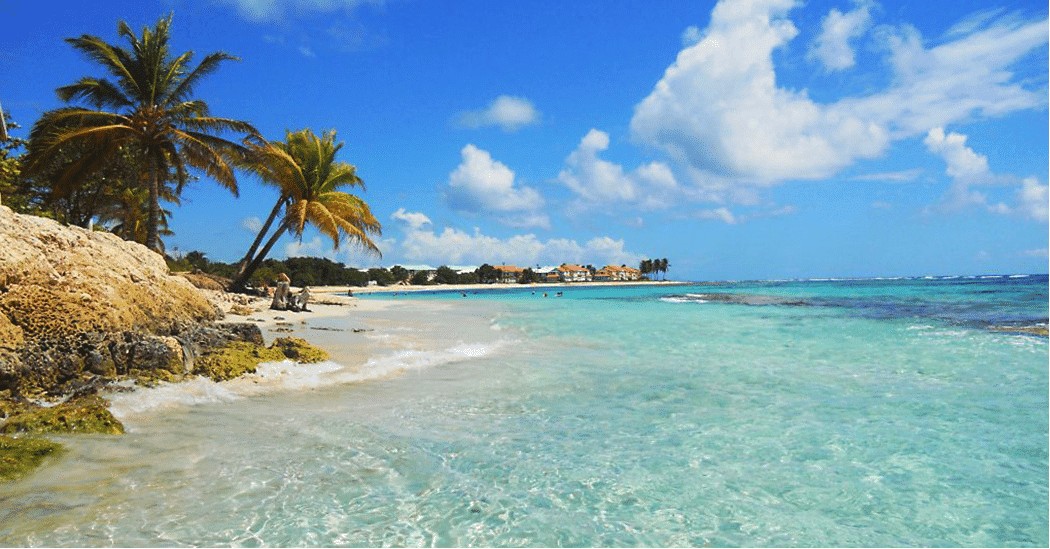 surf en Guadeloupe