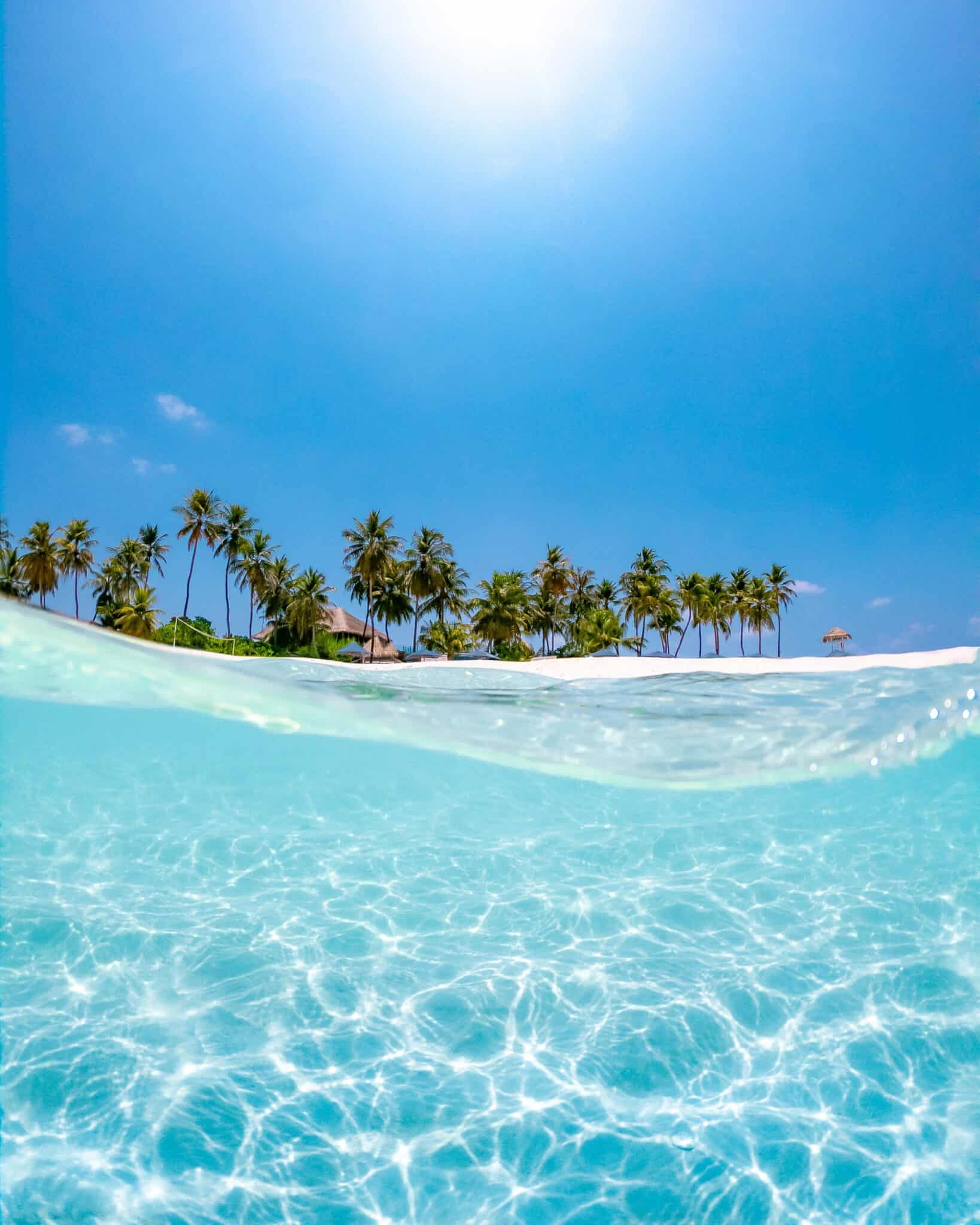 surf maldives