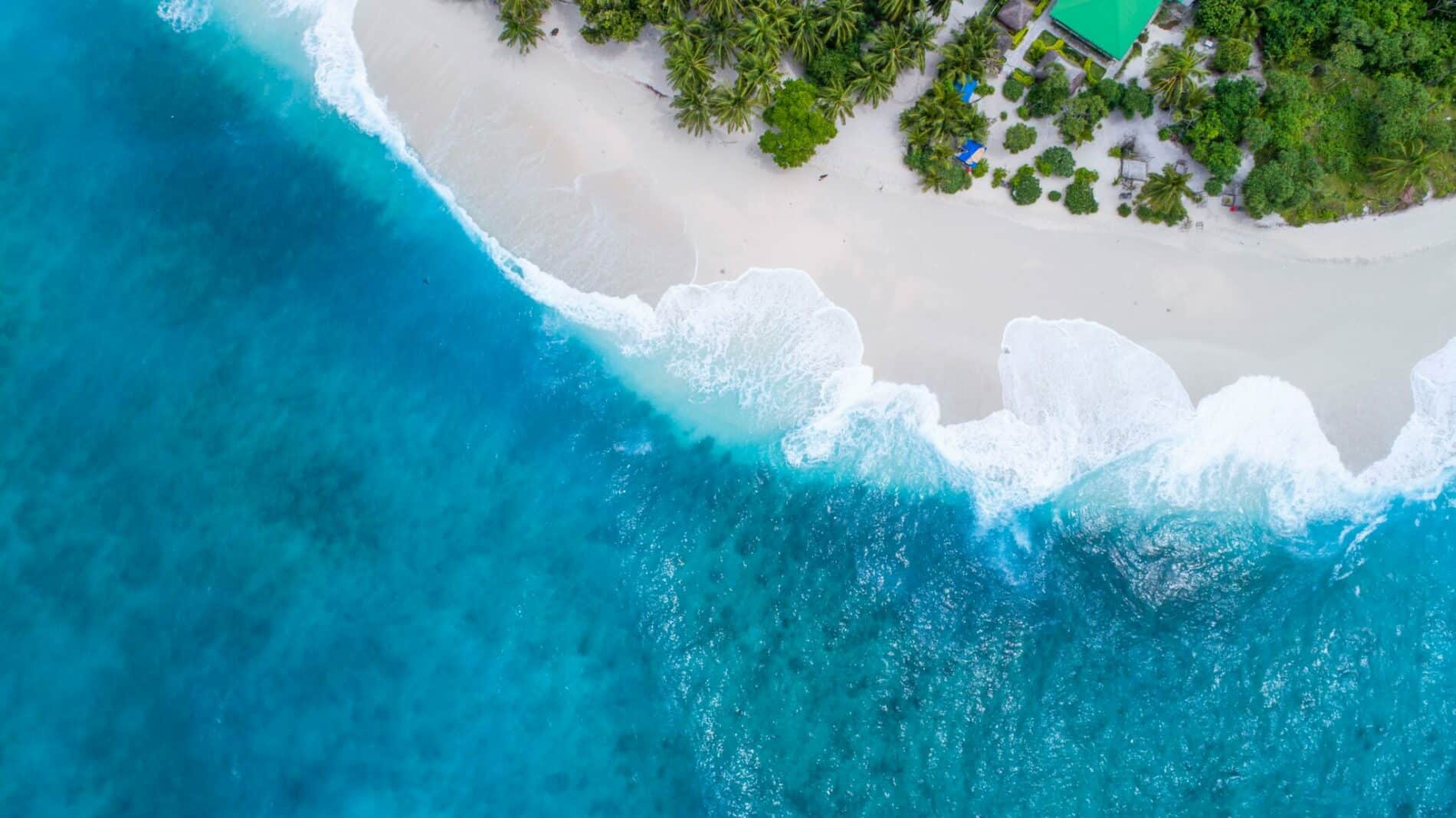 surfing maldives