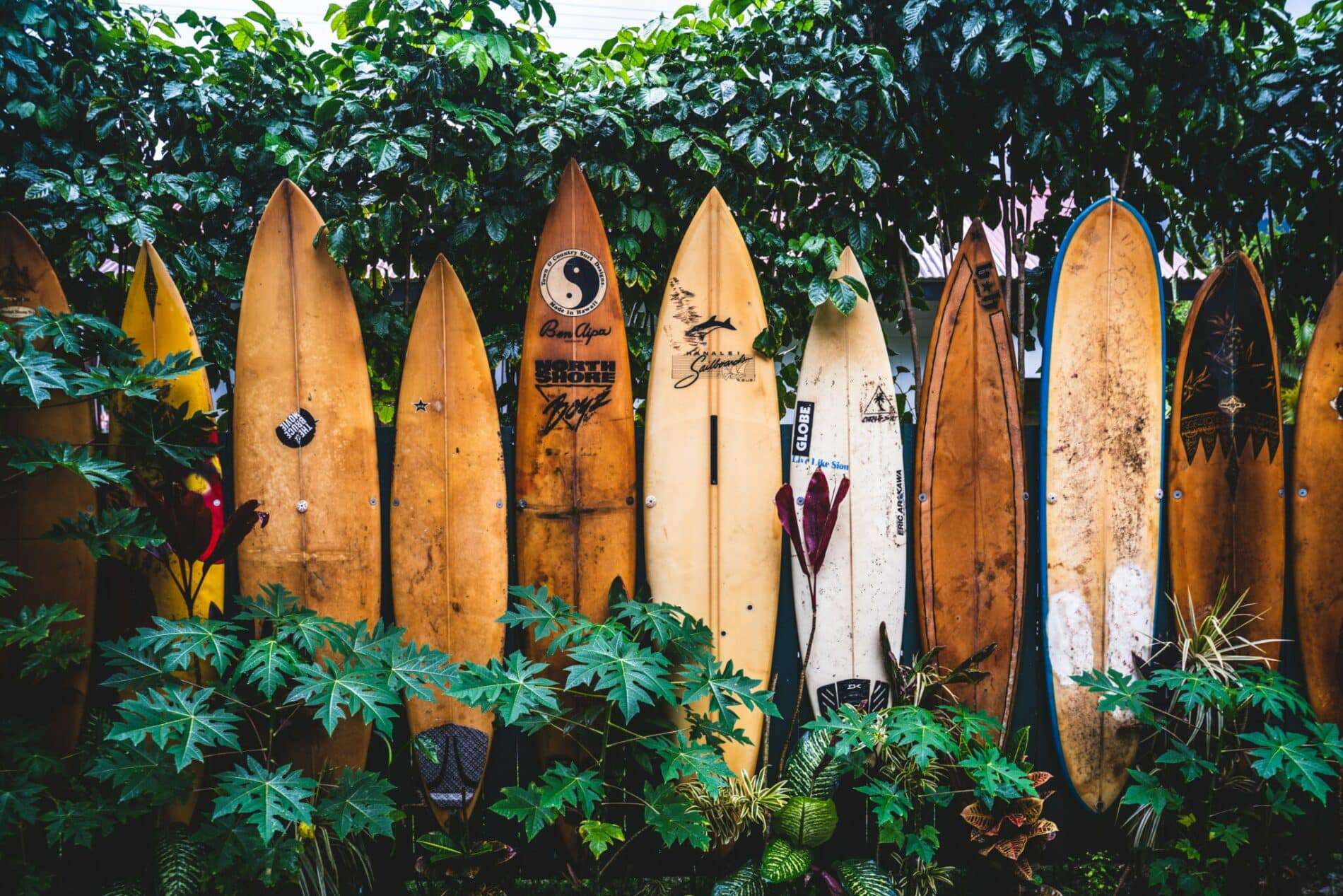 tatonomusic-FFCgotROOTY-unsplash