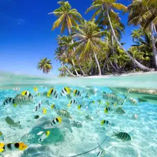 Thulusdhoo surf Malediven